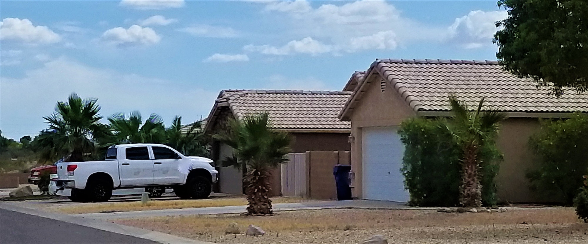 Single-story stucco ranch homes with palm trees and a pickup truck parked in a driveway