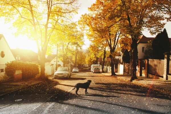 encino neighborhood