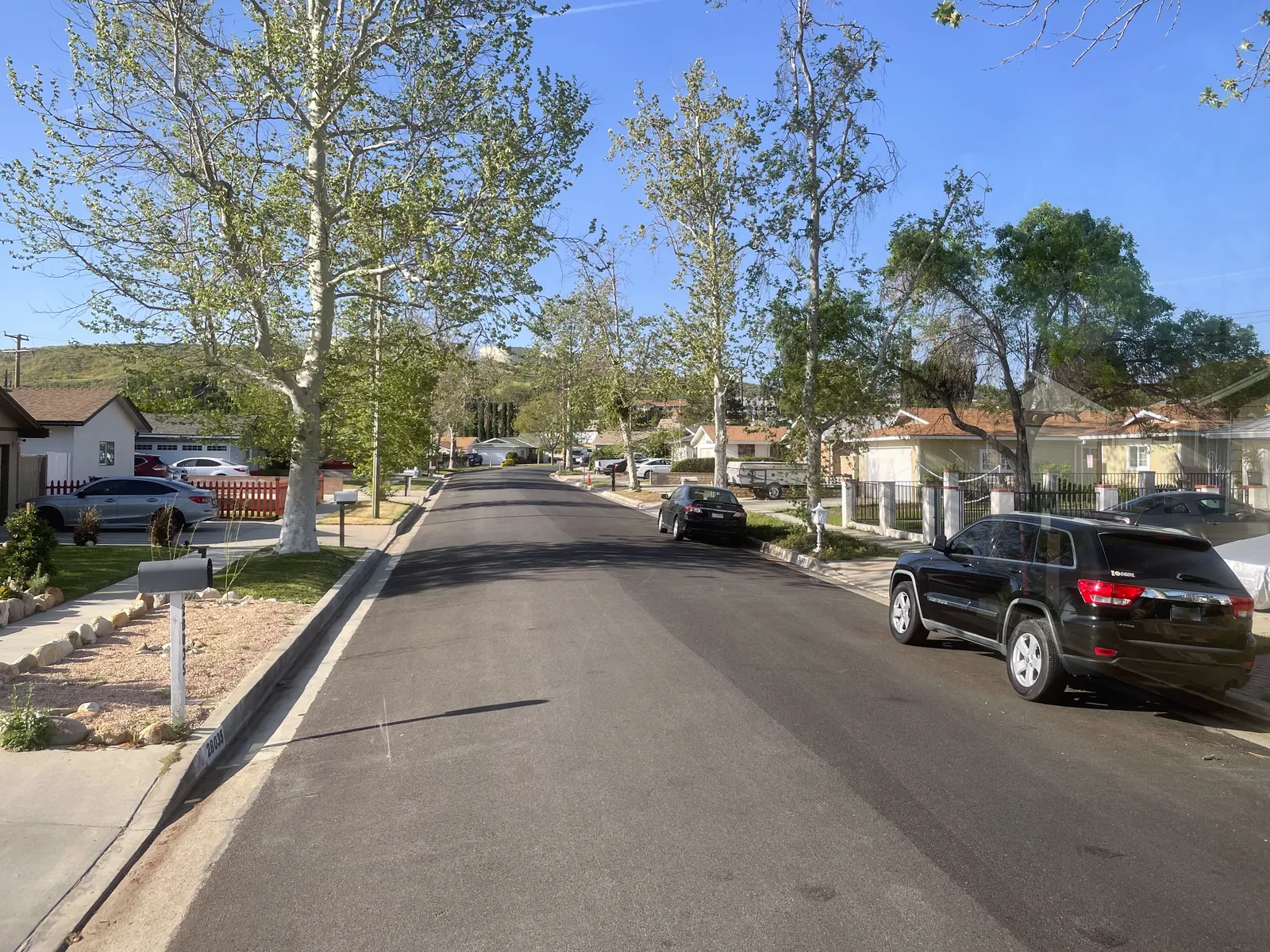 Tree-lined residential street of single-story mid-century homes in Canyon Country, Santa Clarita