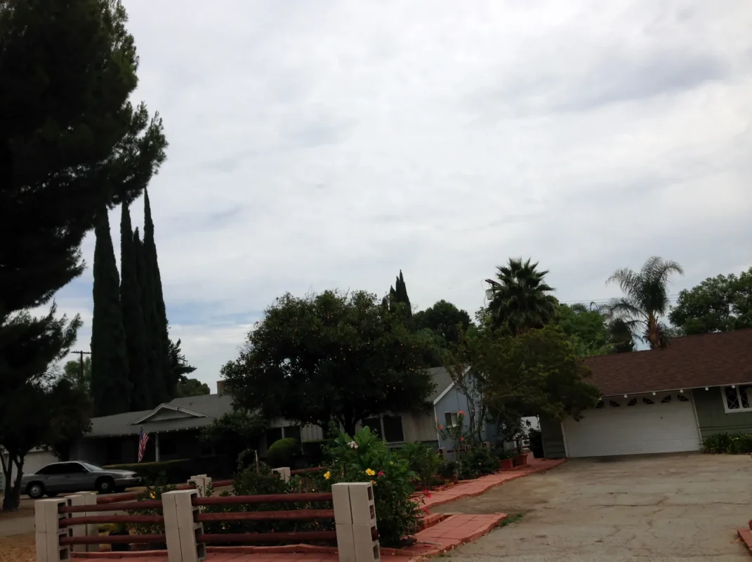 Driveway and wood fence in front of a single-story home with tall cypress trees in Northridge