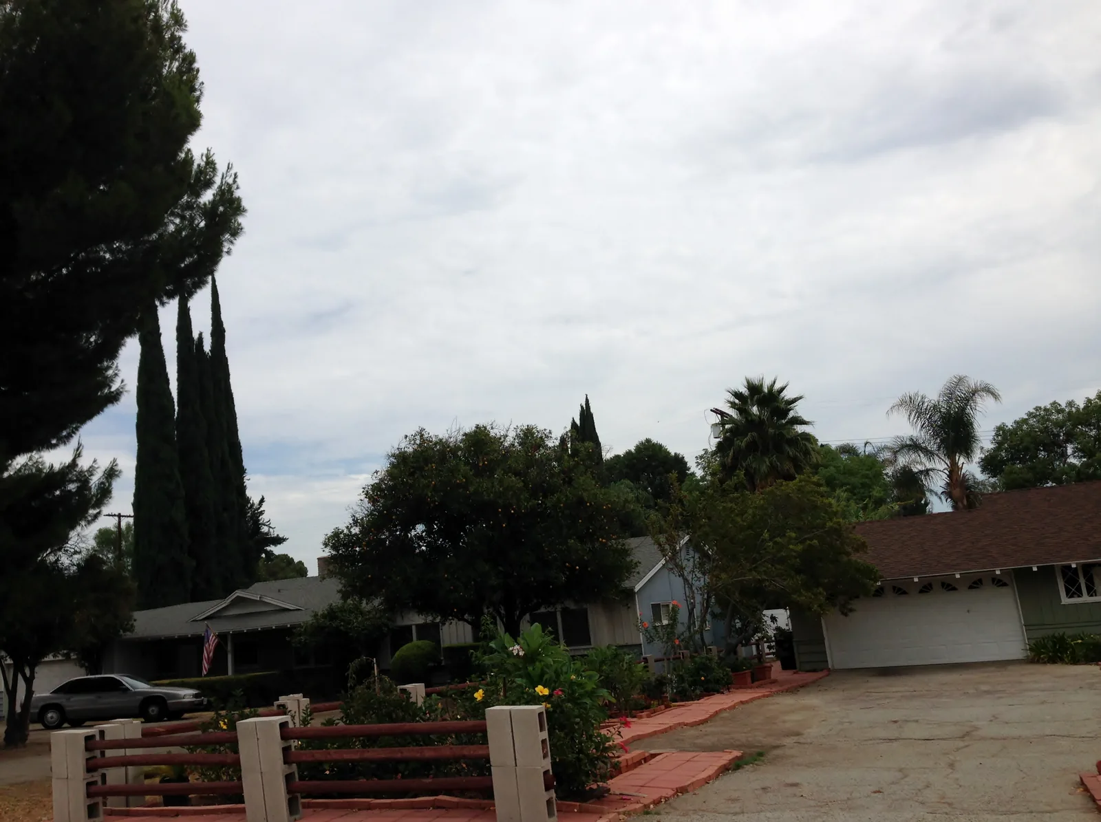 Driveway and wood fence in front of a single-story home with tall cypress trees in Northridge