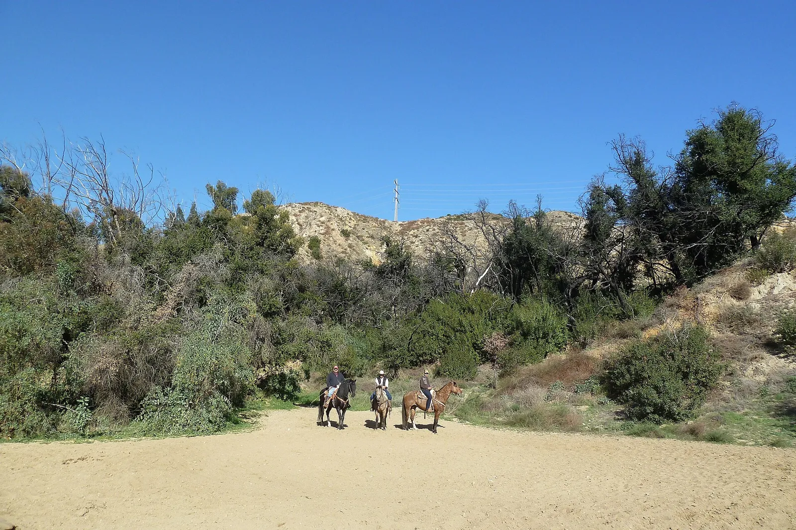 Three horseback riders on a sandy equestrian area below brushy hills in Sylmar