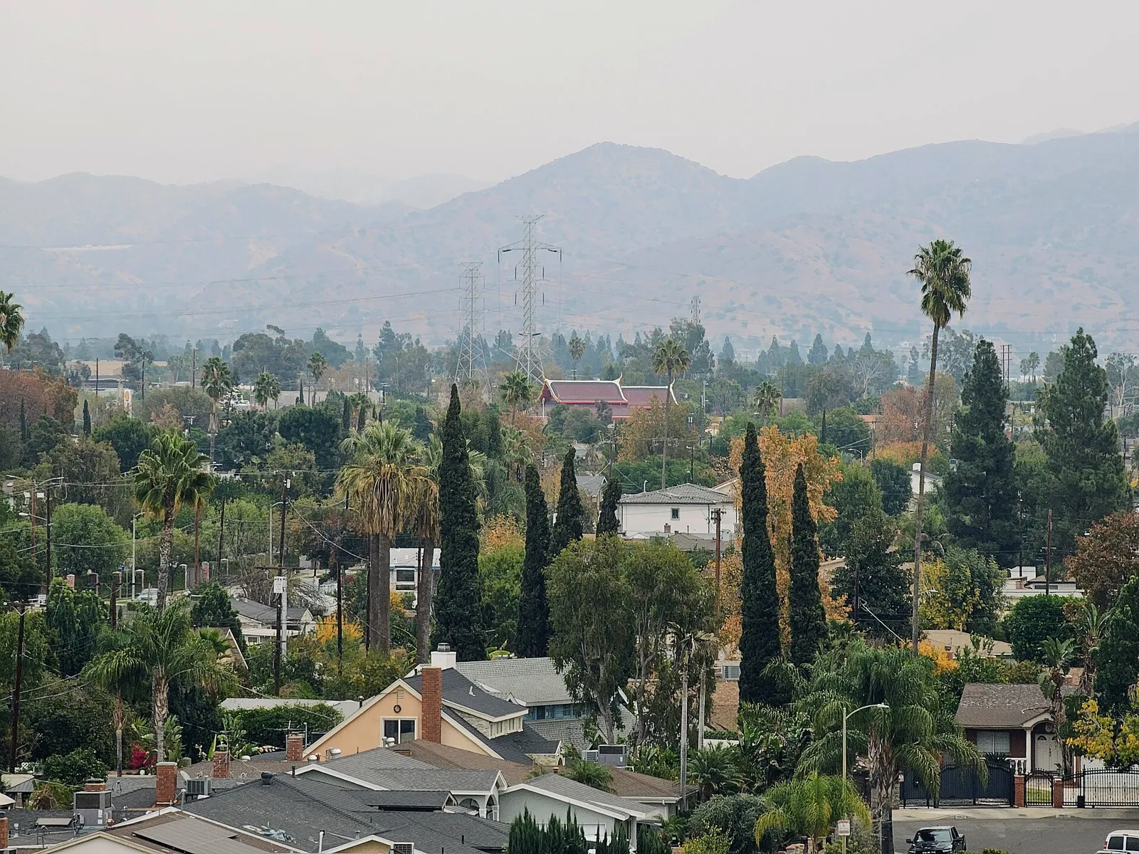 Eastward view over tree-lined Panorama City neighborhoods toward the Verdugo Mountains