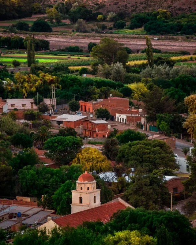 Mission-style bell tower among trees and red-tile roofs