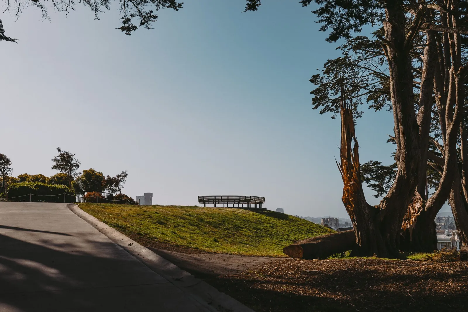 Paved path beside a grassy hill and large trees
