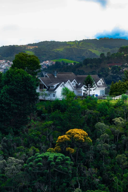 Hillside houses surrounded by trees