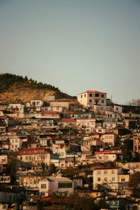 Hillside covered with closely built white houses