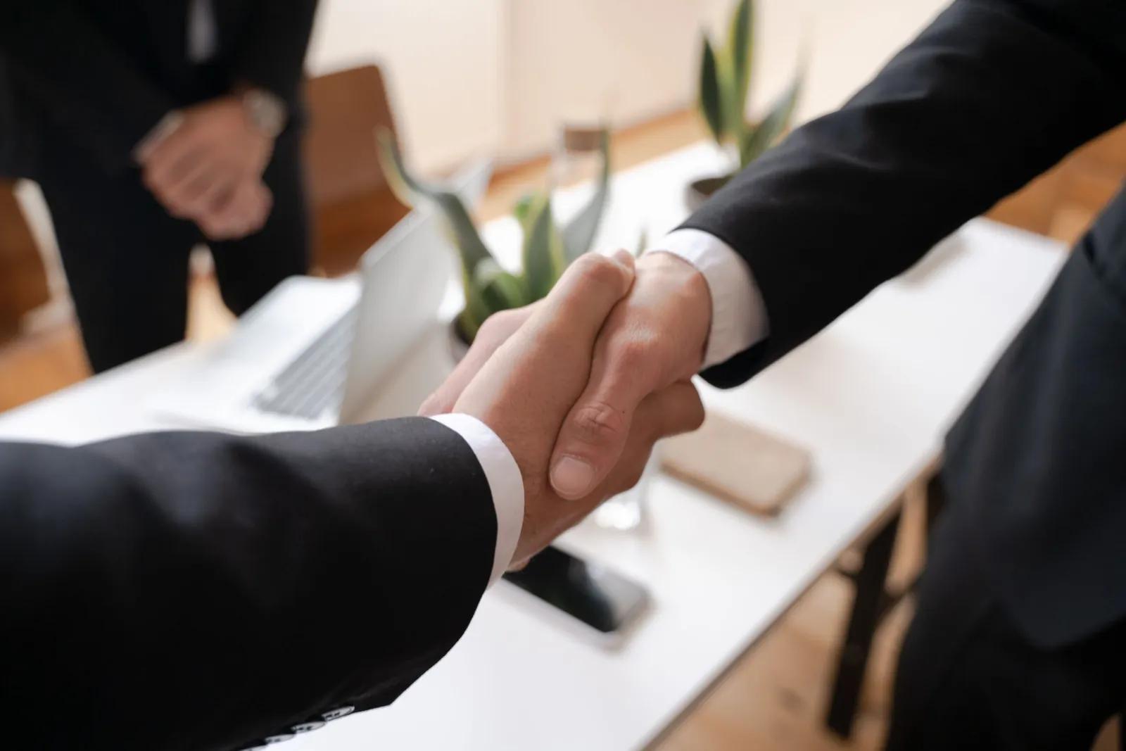 Close-up of two professionals shaking hands