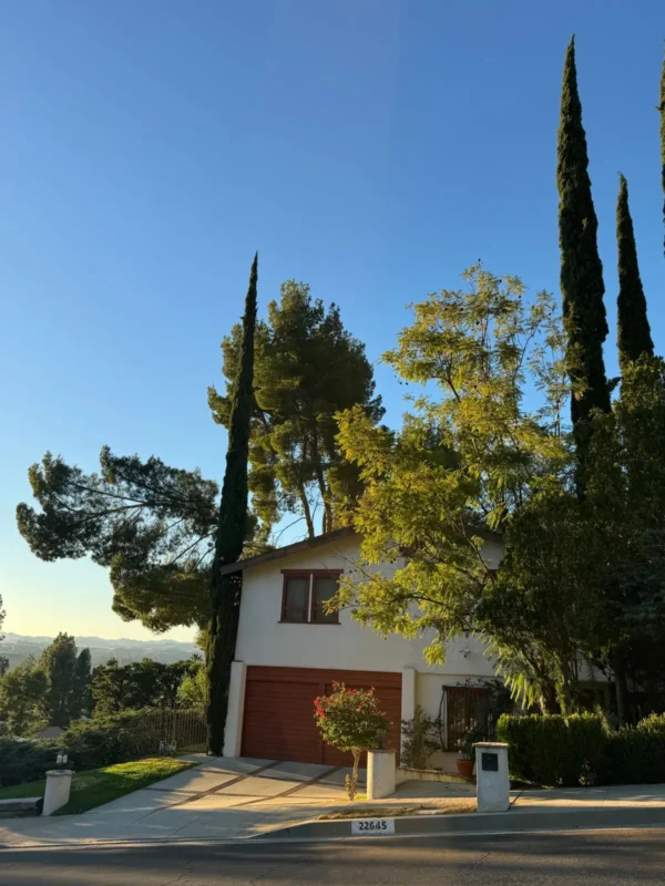 Single-story home with tall cypress trees on a sunny hillside street