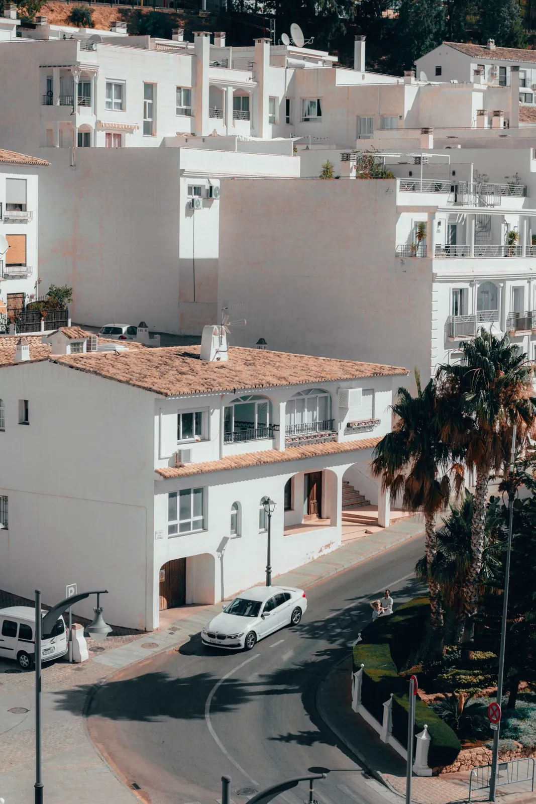 White hillside buildings and a street lined with palm trees