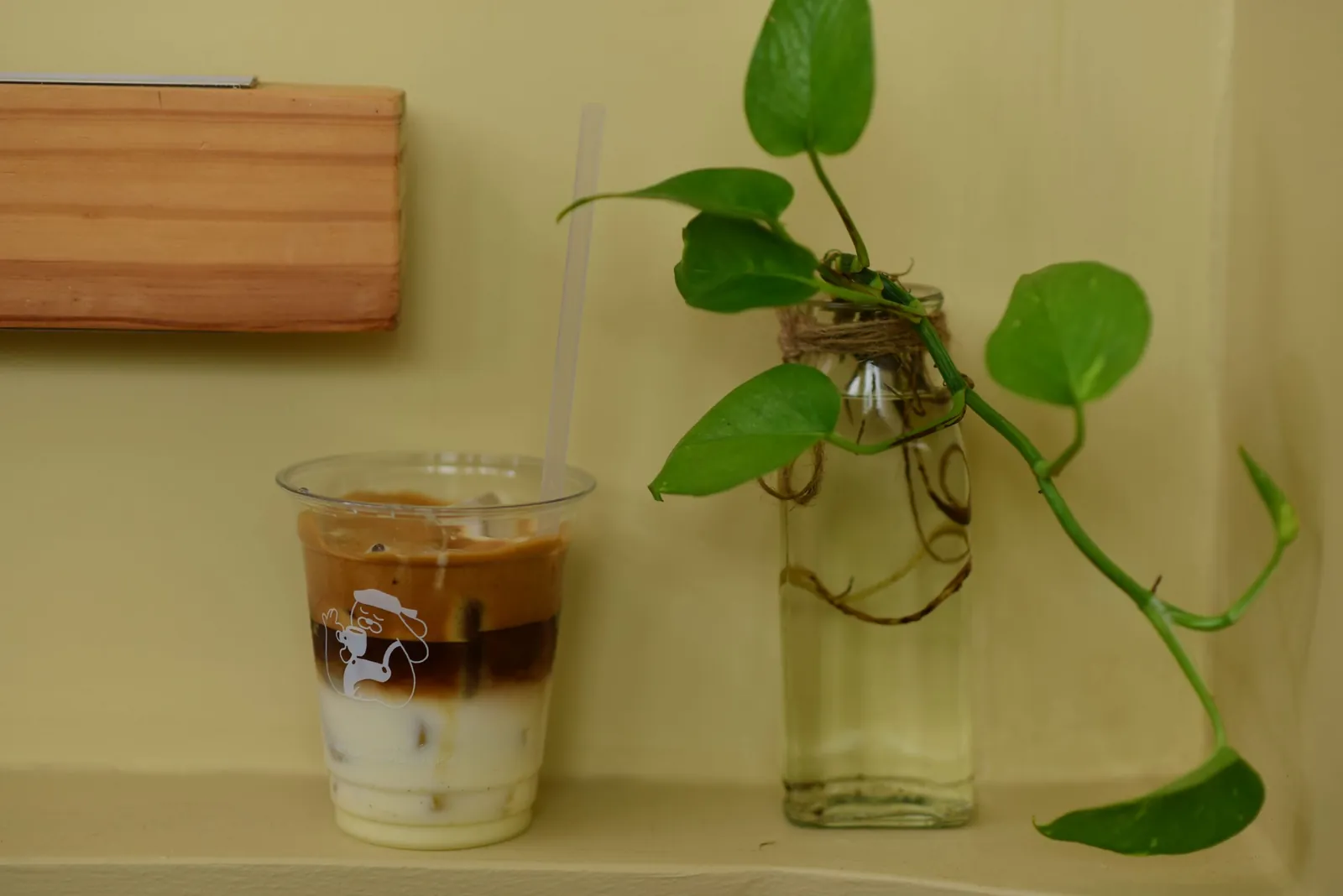 Iced coffee beside a potted plant on a cafe shelf