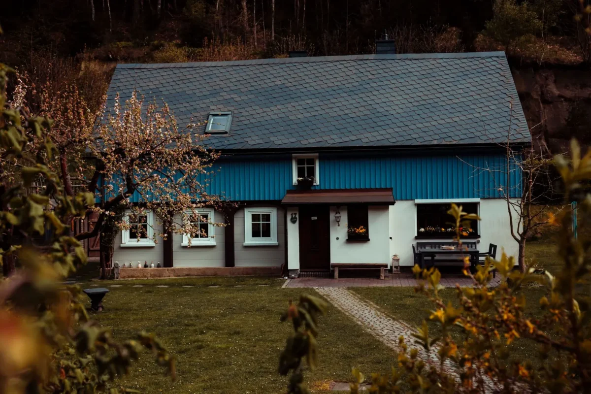 Blue single-story house surrounded by trees