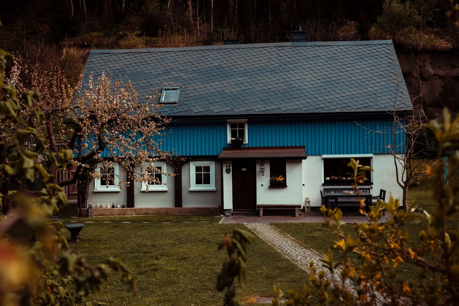 Blue single-story house surrounded by trees