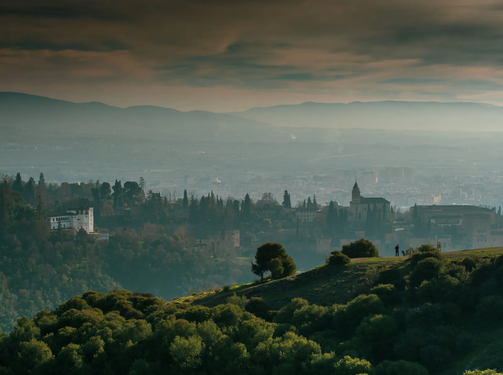 Green hills and treetops under a hazy evening sky