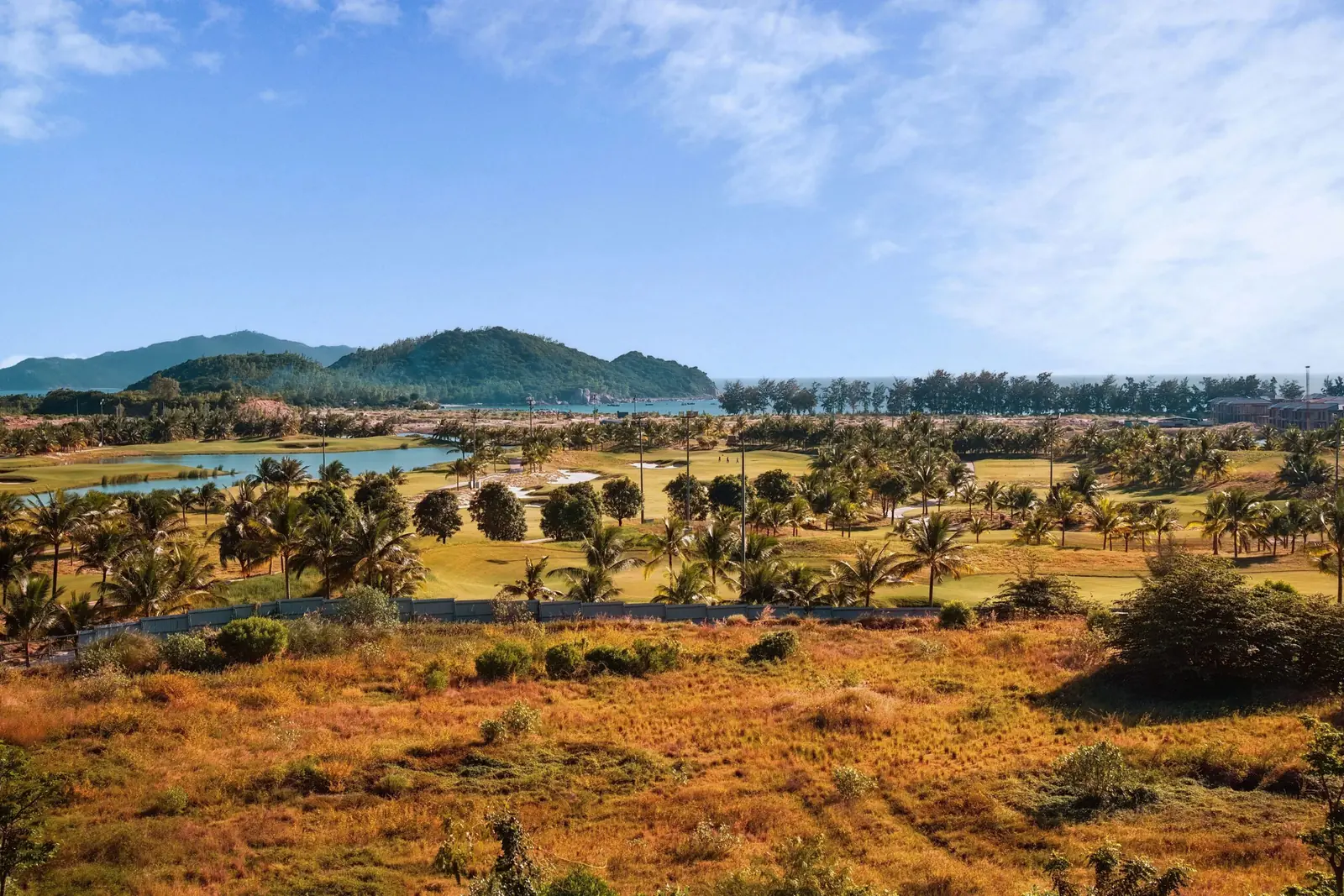 Golf course with palm trees and a lake below green hills, seen from a dry grassy slope
