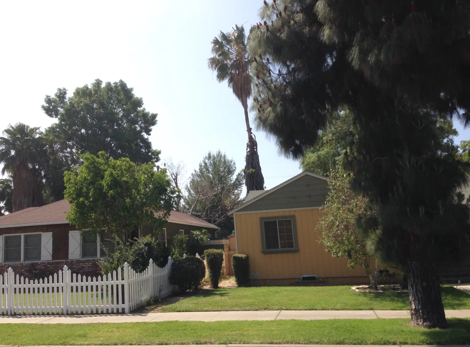 White picket fence and front lawn beside a single-story yellow house on a tree-lined street in Northridge