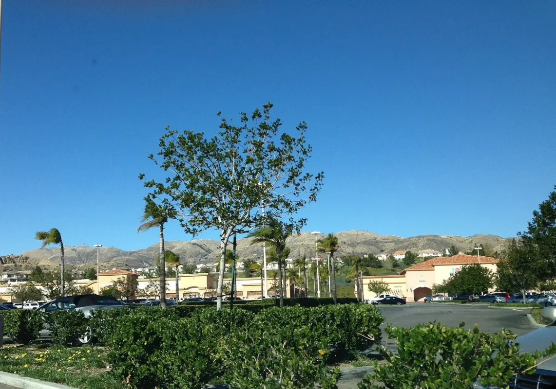 Landscaped shrubs and young trees in front of tile-roofed homes, with the Porter Ranch hills and mountains behind under a clear blue sky