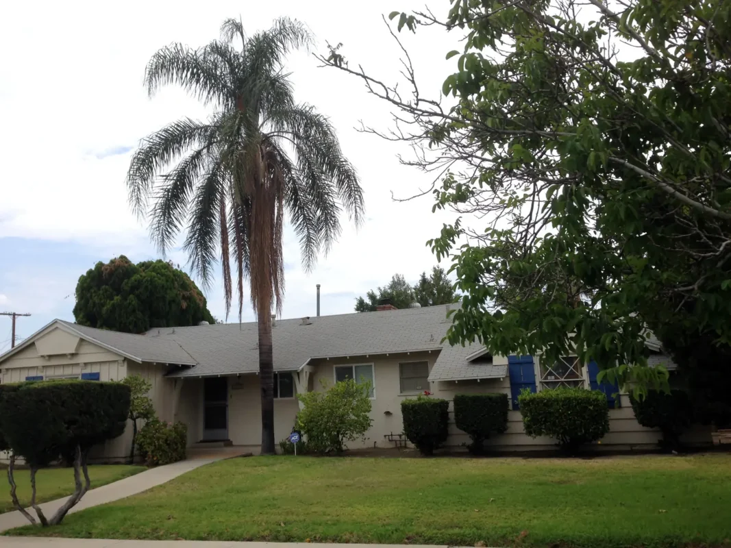 Single-story ranch house with a tall palm tree and a green front lawn on a residential street in Northridge