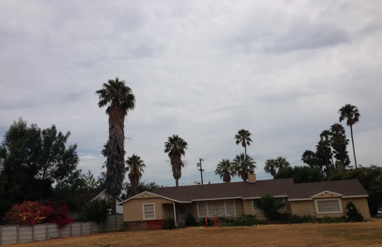 Long single-story ranch house with tall palm trees behind it under a cloudy sky in Northridge